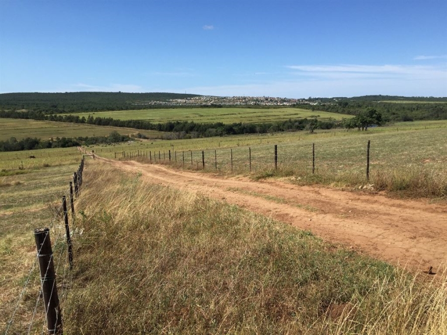 Commercial Property for Sale in Bathurst Eastern Cape